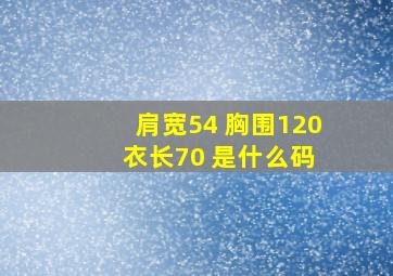 肩宽54 胸围120 衣长70 是什么码